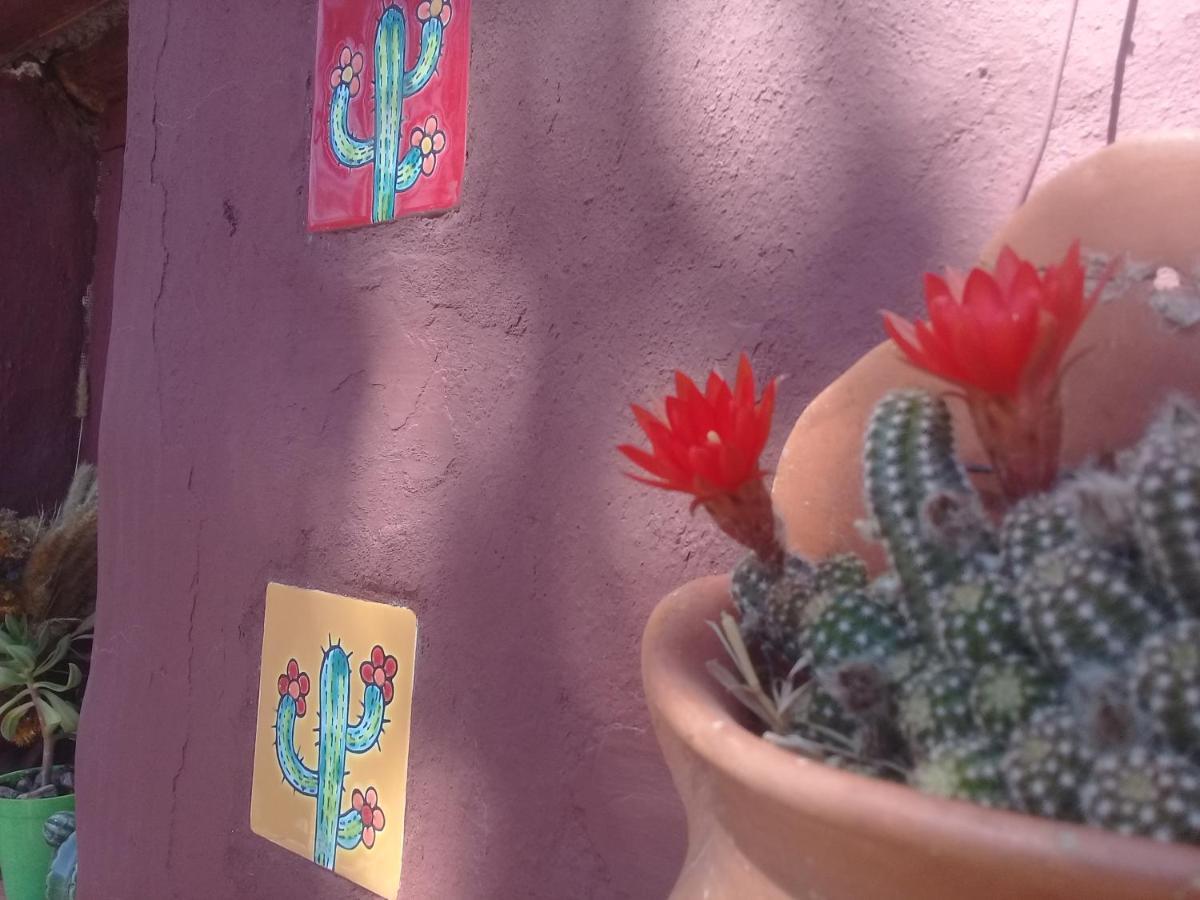 הומאהואקה Cabana El Cardon,Casita En El Campo Quebradeno מראה חיצוני תמונה