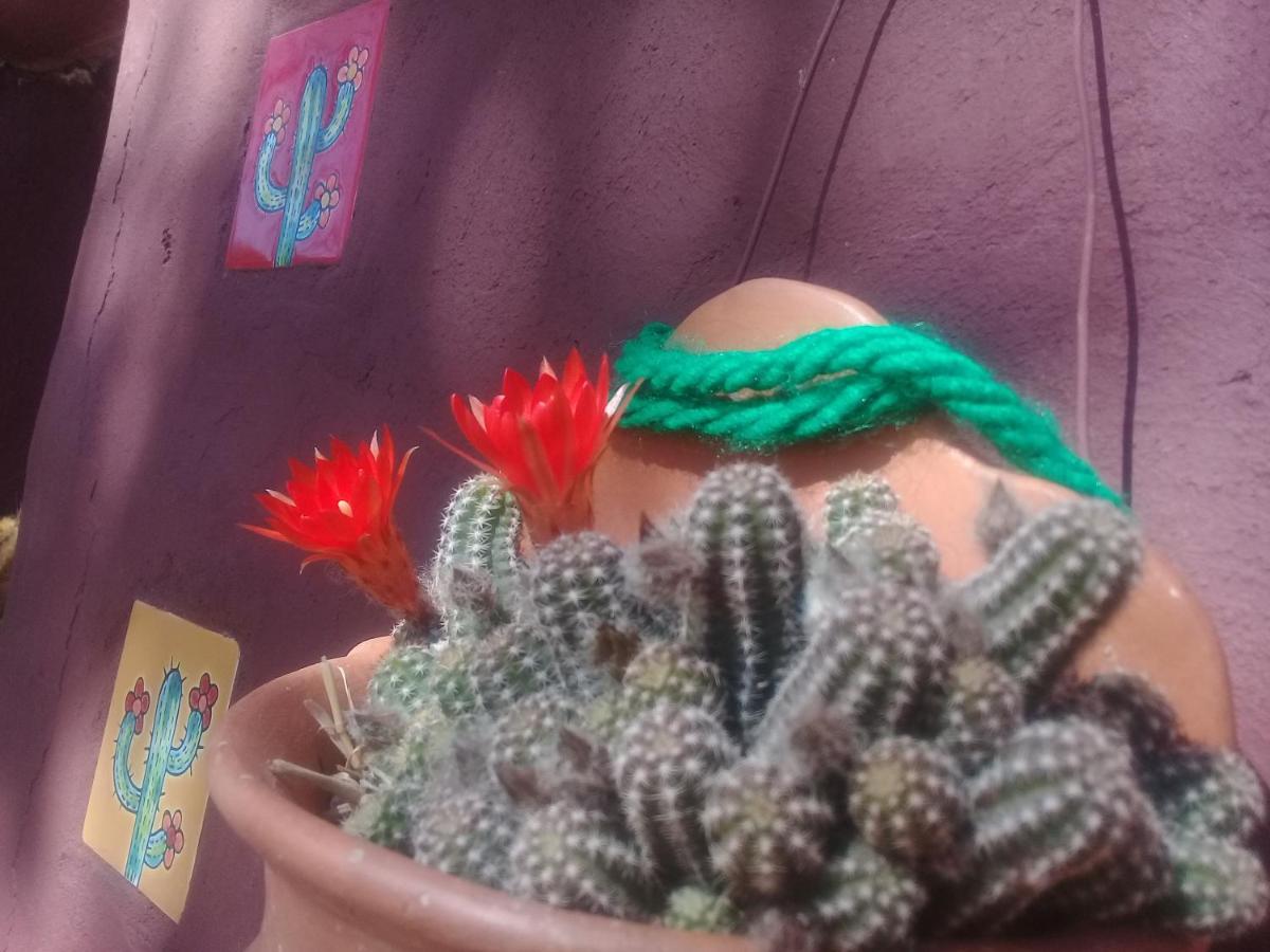 הומאהואקה Cabana El Cardon,Casita En El Campo Quebradeno מראה חיצוני תמונה