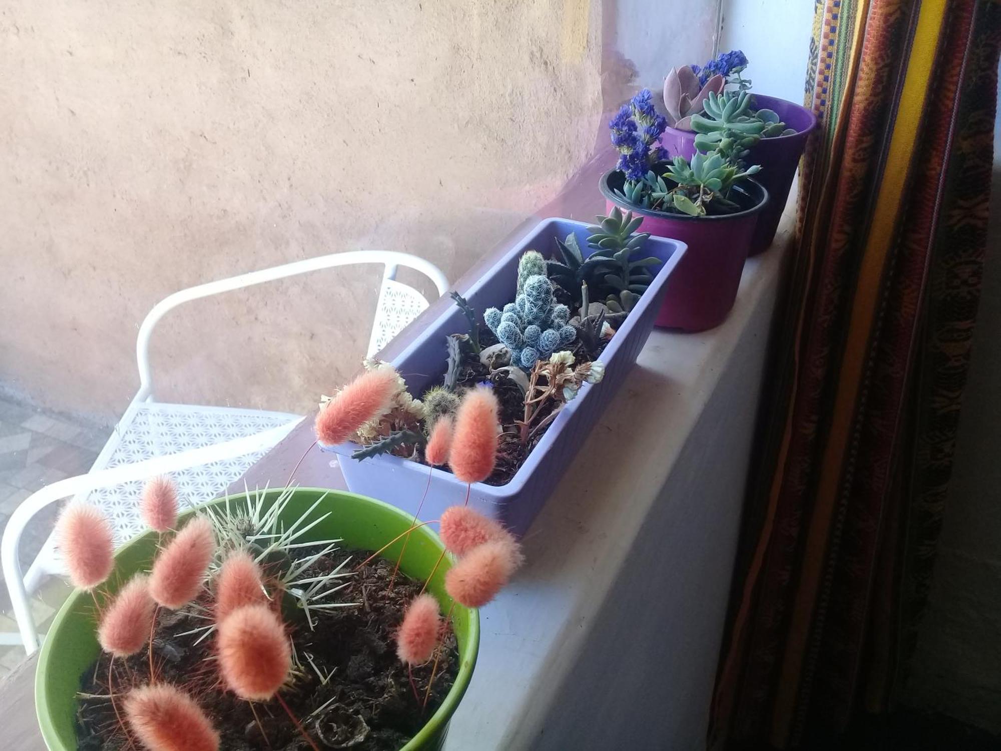 הומאהואקה Cabana El Cardon,Casita En El Campo Quebradeno מראה חיצוני תמונה