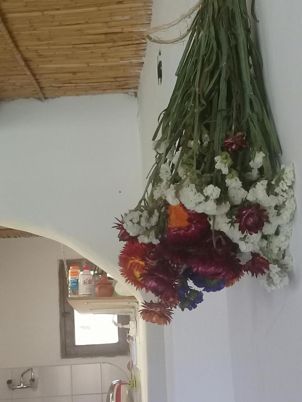 הומאהואקה Cabana El Cardon,Casita En El Campo Quebradeno מראה חיצוני תמונה