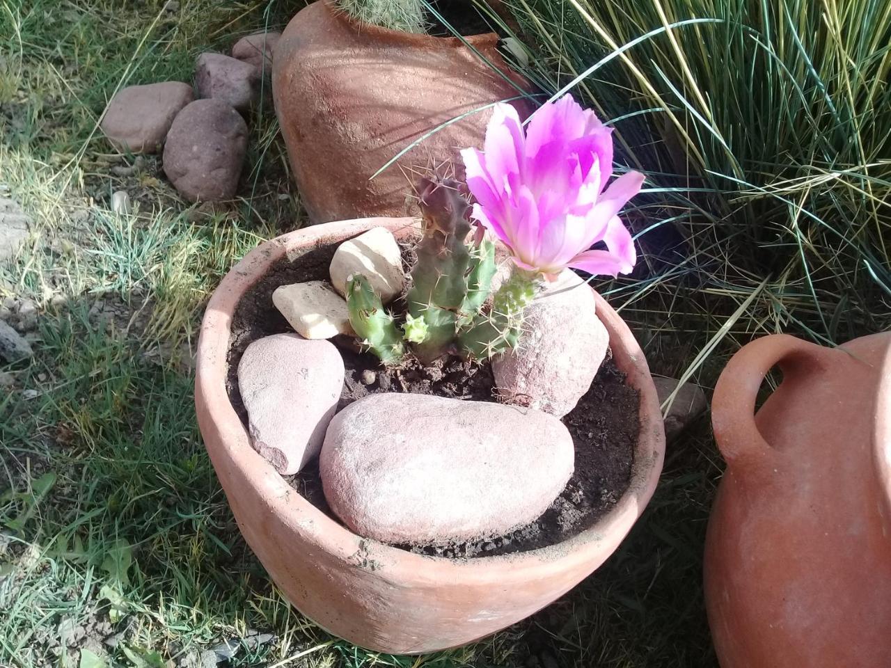 הומאהואקה Cabana El Cardon,Casita En El Campo Quebradeno מראה חיצוני תמונה