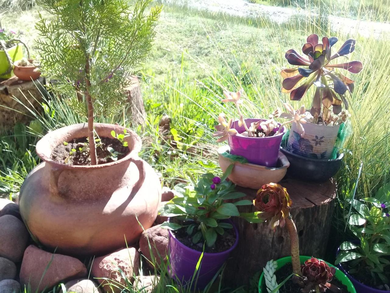הומאהואקה Cabana El Cardon,Casita En El Campo Quebradeno מראה חיצוני תמונה