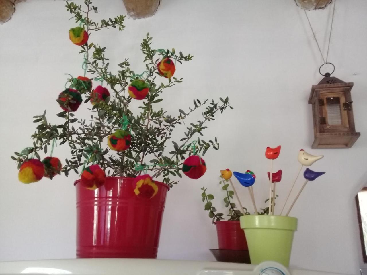 הומאהואקה Cabana El Cardon,Casita En El Campo Quebradeno מראה חיצוני תמונה