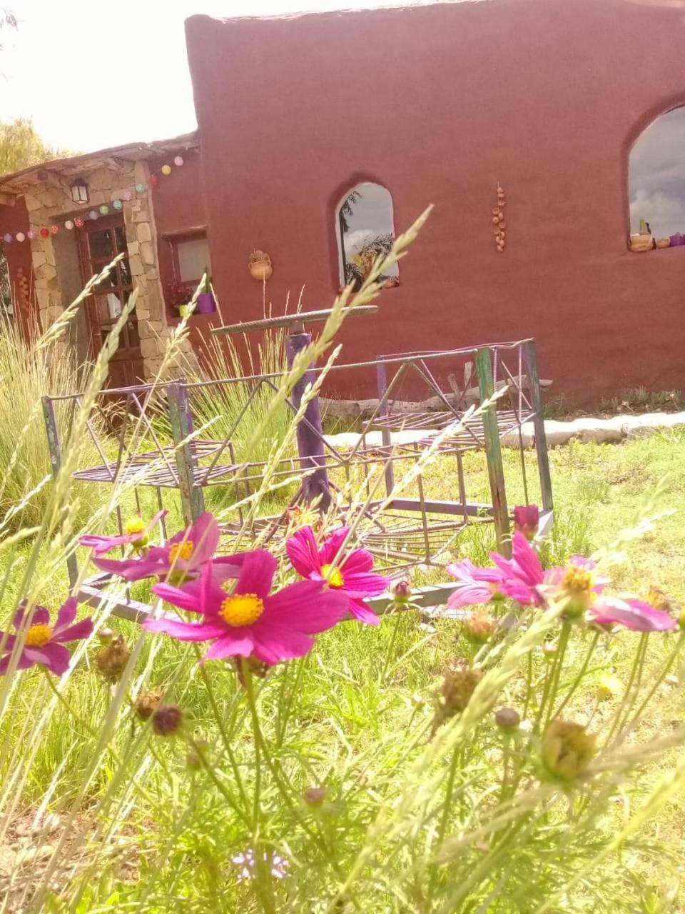 הומאהואקה Cabana El Cardon,Casita En El Campo Quebradeno מראה חיצוני תמונה