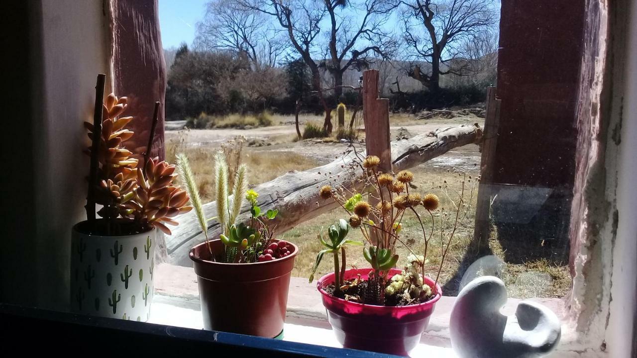 הומאהואקה Cabana El Cardon,Casita En El Campo Quebradeno מראה חיצוני תמונה